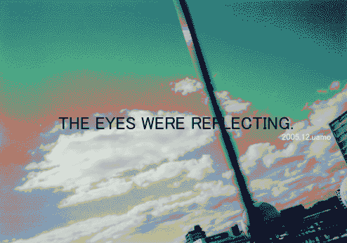THE EYES WERE REFLECTING.