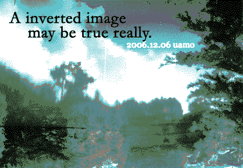 A inverted image may be true really.