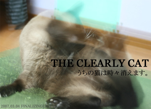 The clearly cat.